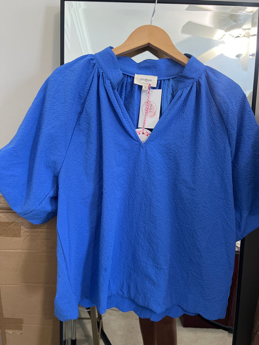 Blue Bubble Sleeve Top