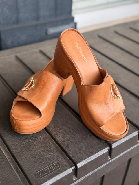 Antelope Shoes